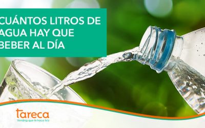 Cuántos litros de agua hay que beber al día