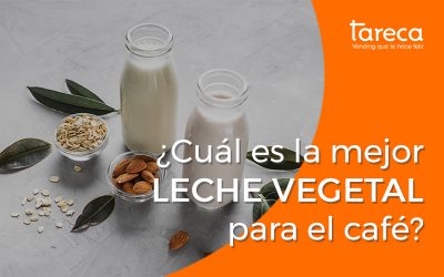 ¿Cuál es la mejor leche vegetal para el café?